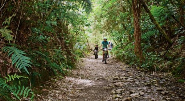 Family Bike trail thru Pukekura Park