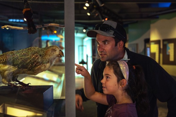 Puke Ariki Museum, Library, and i-SITE