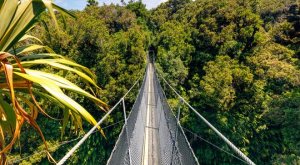 swing bridge in egmont national park